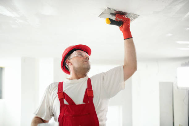 Best Pressure Washing and Painting Preparation  in Aspermont, TX